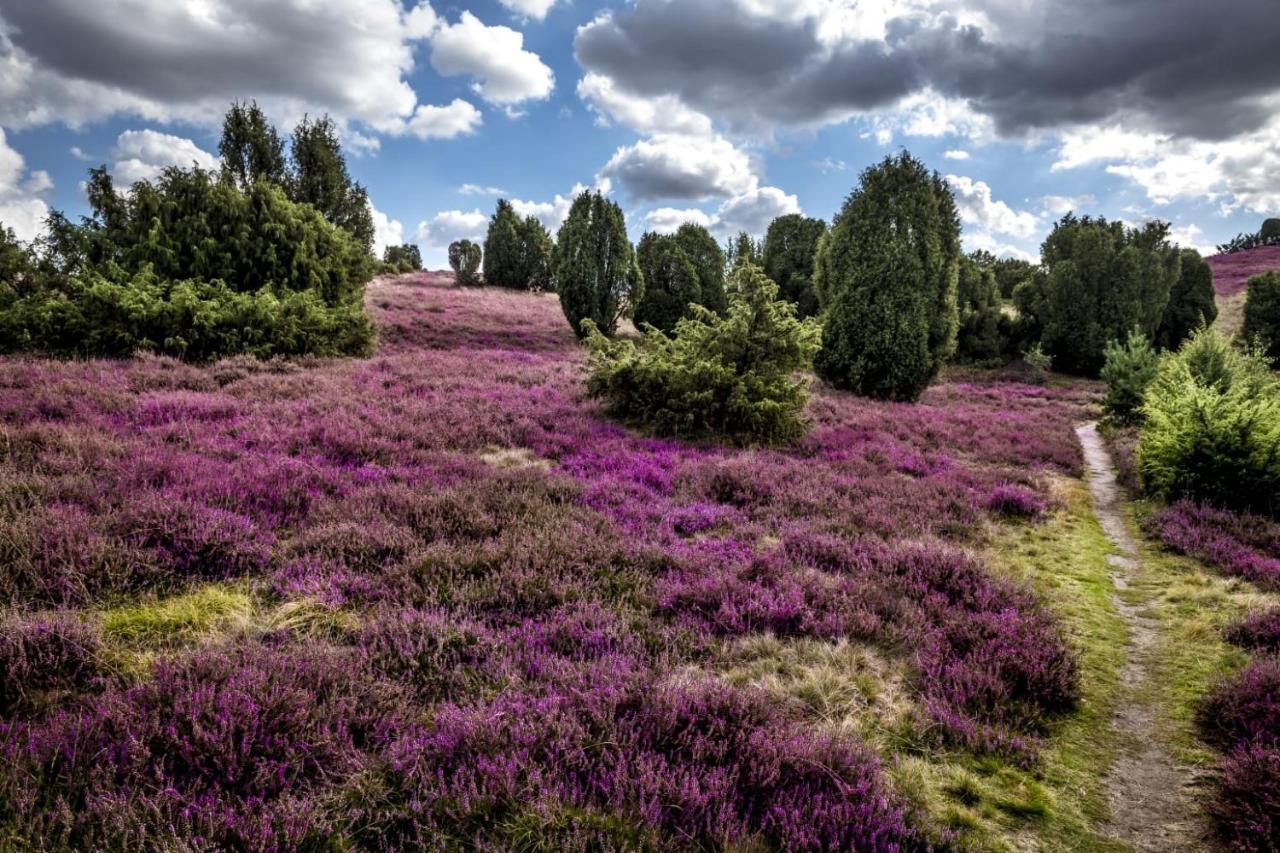 Ferienwohnung Heide View Биспинген Экстерьер фото
